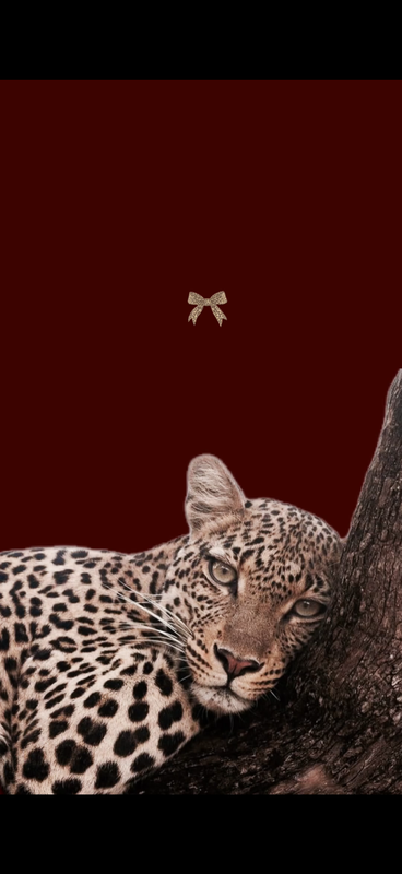 خدمات تمويلية بنكية 